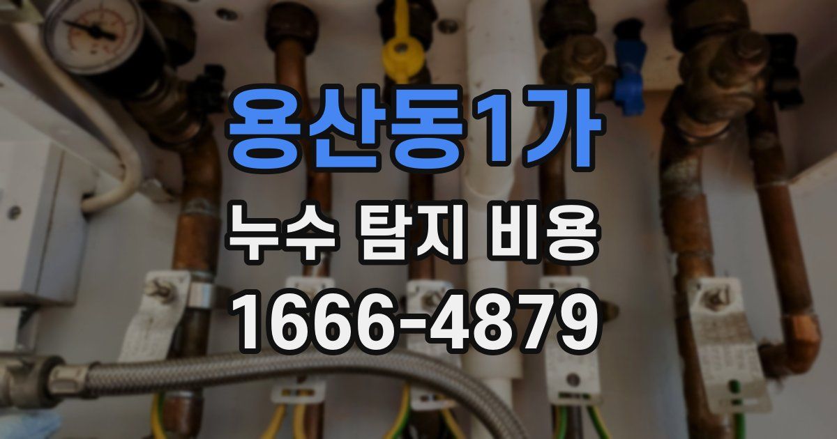 용산동1가 누수 탐지 비용