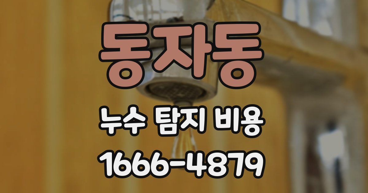 동자동 누수 탐지 비용