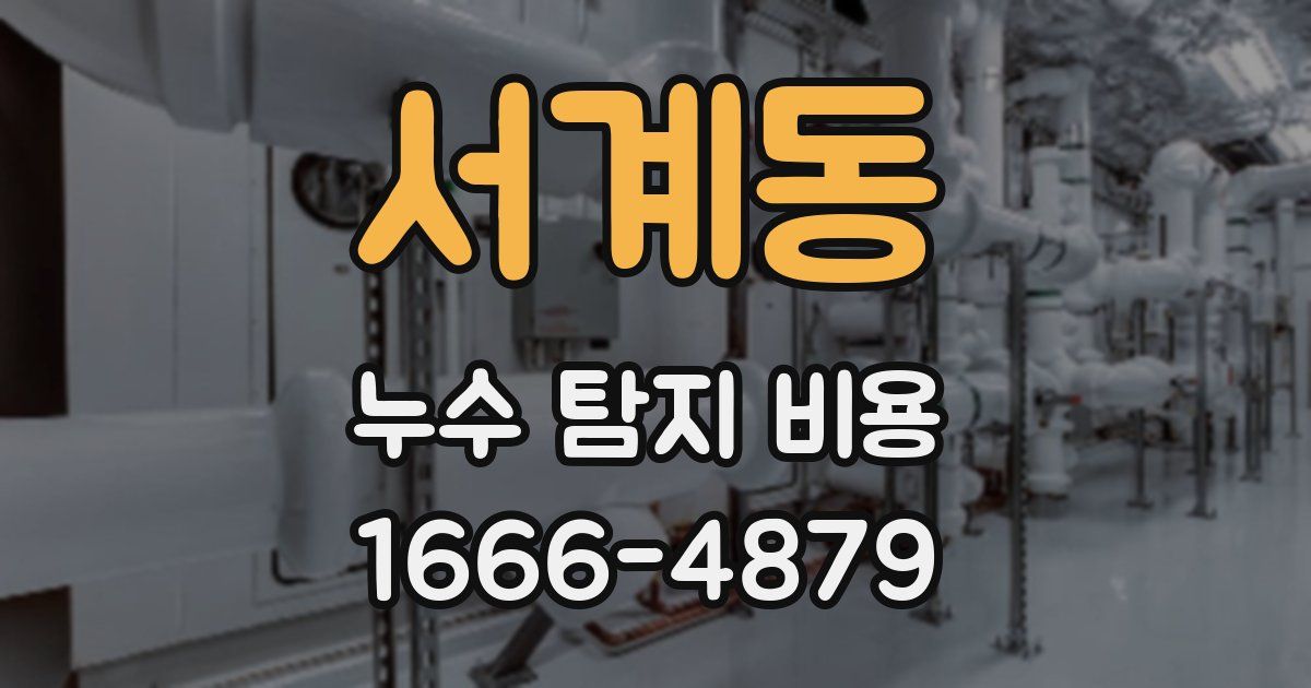 서계동 누수 탐지 비용