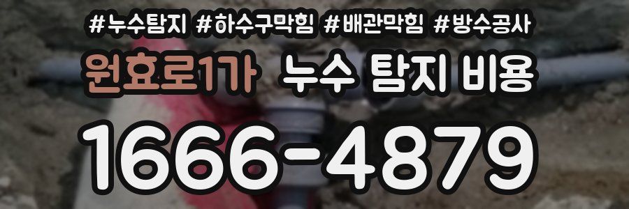 원효로1가 누수 탐지 비용