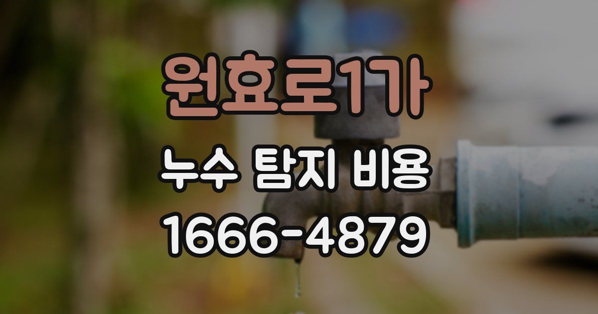 원효로1가 누수 탐지 비용