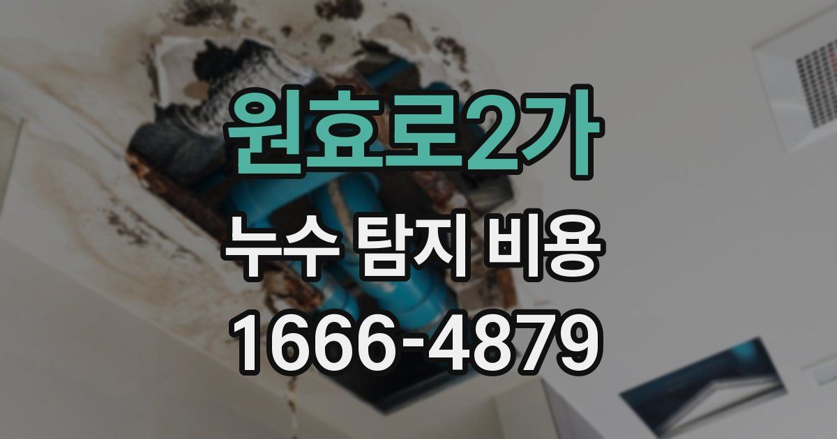 원효로2가 누수 탐지 비용