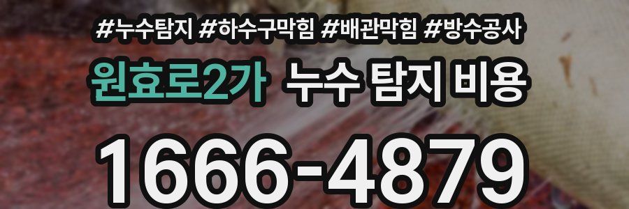 원효로2가 누수 탐지 비용