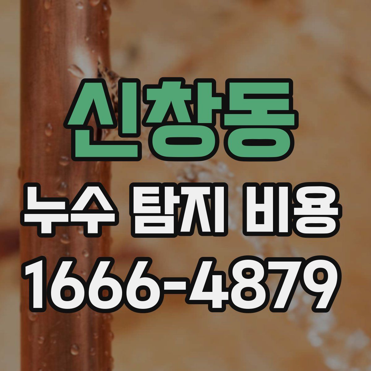 신창동 누수 탐지 비용