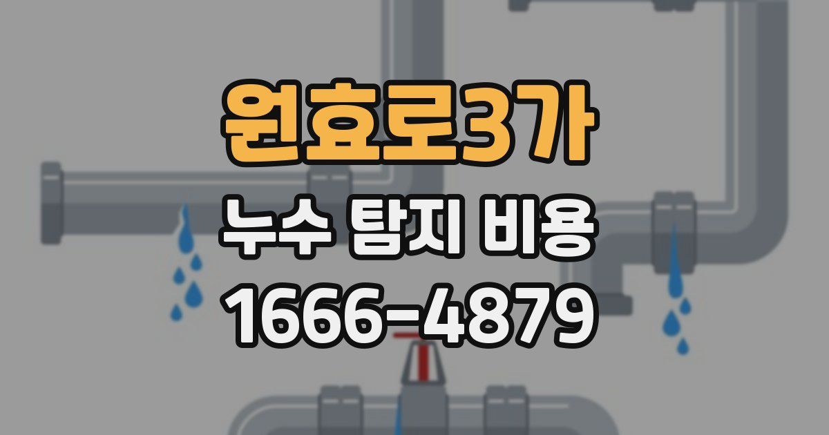 원효로3가 누수 탐지 비용