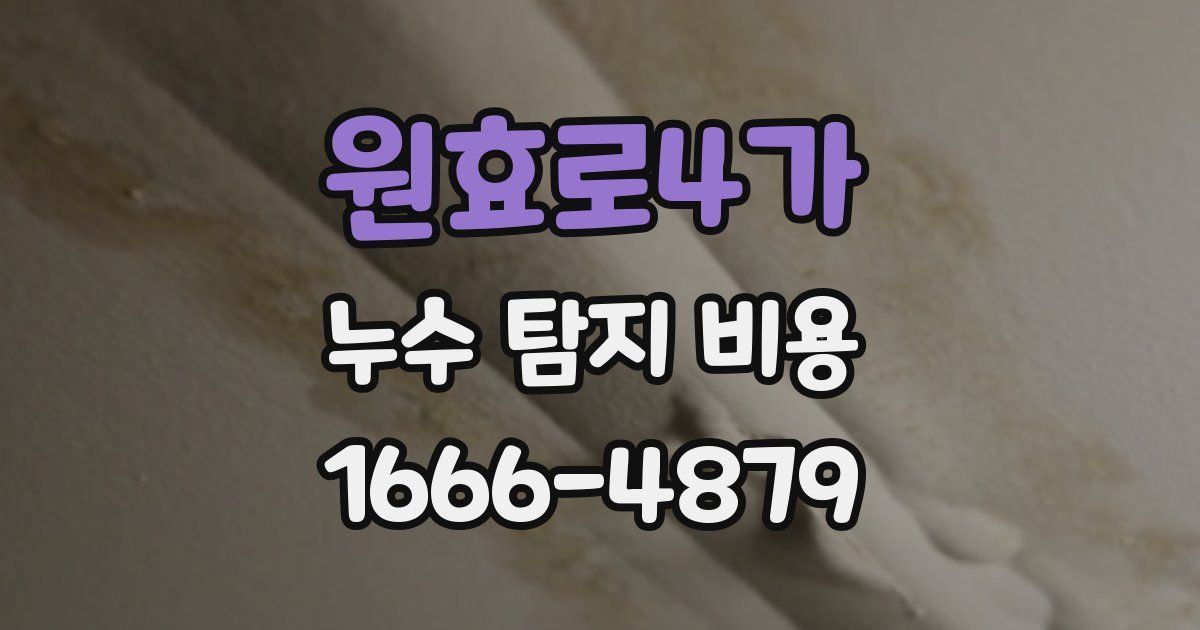 원효로4가 누수 탐지 비용