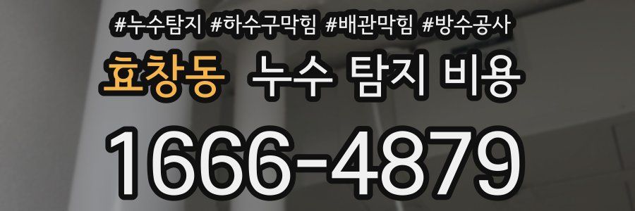 효창동 누수 탐지 비용