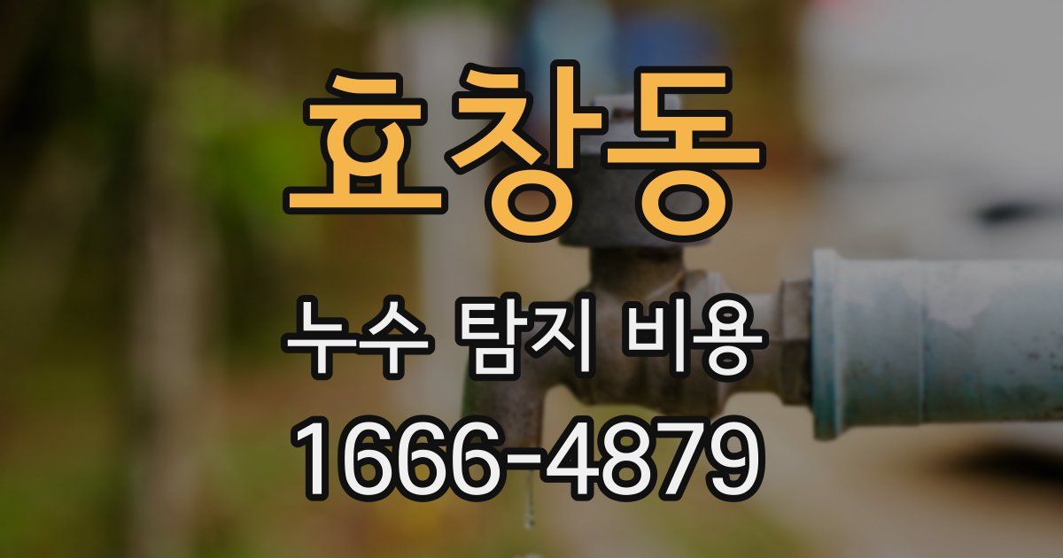 효창동 누수 탐지 비용