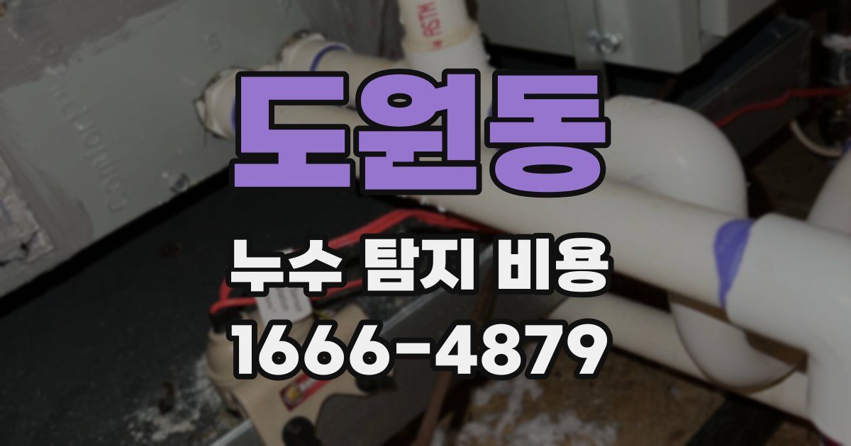 도원동 누수 탐지 비용