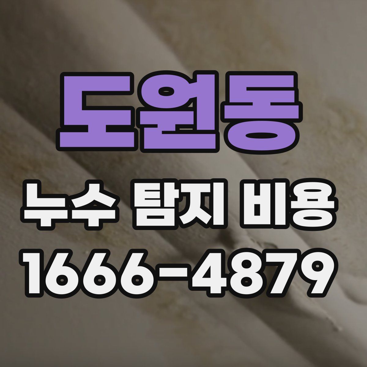 도원동 누수 탐지 비용