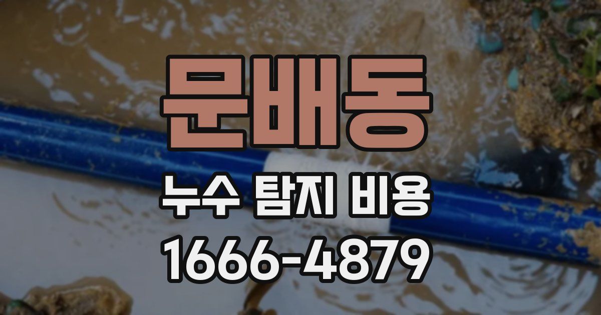문배동 누수 탐지 비용