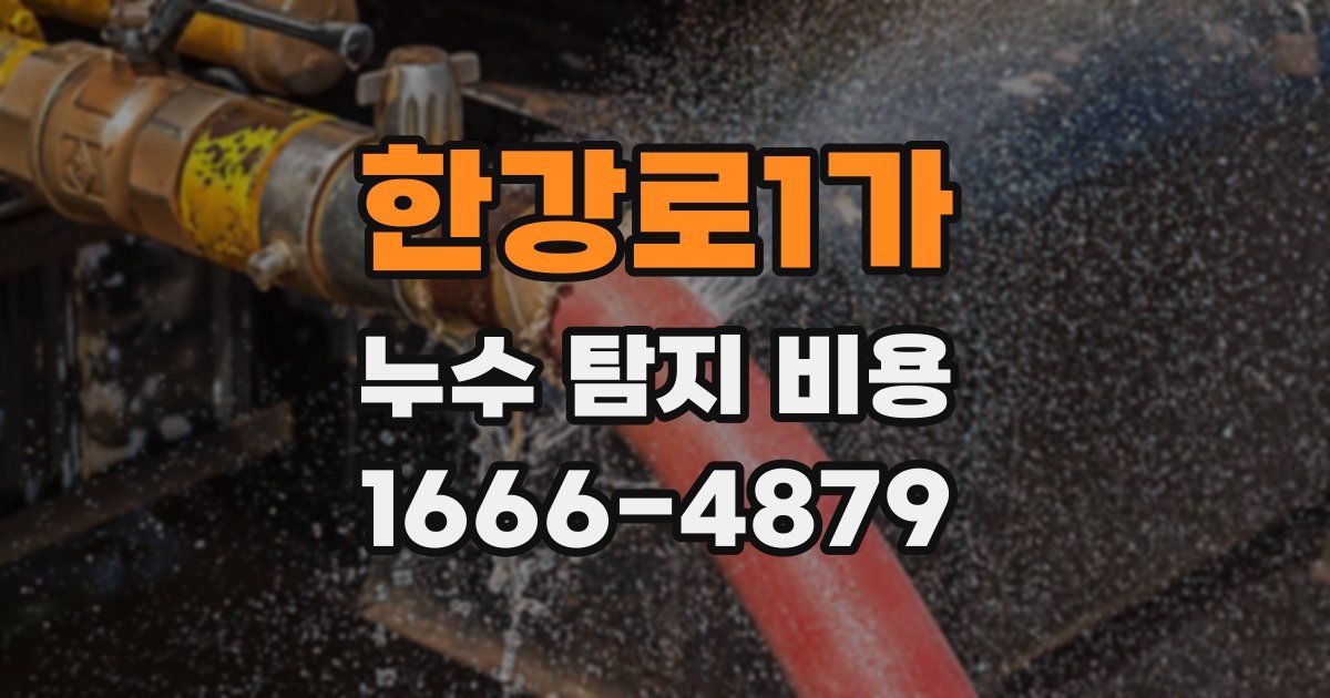 한강로1가 누수 탐지 비용