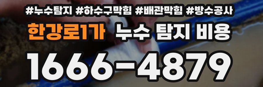 한강로1가 누수 탐지 비용