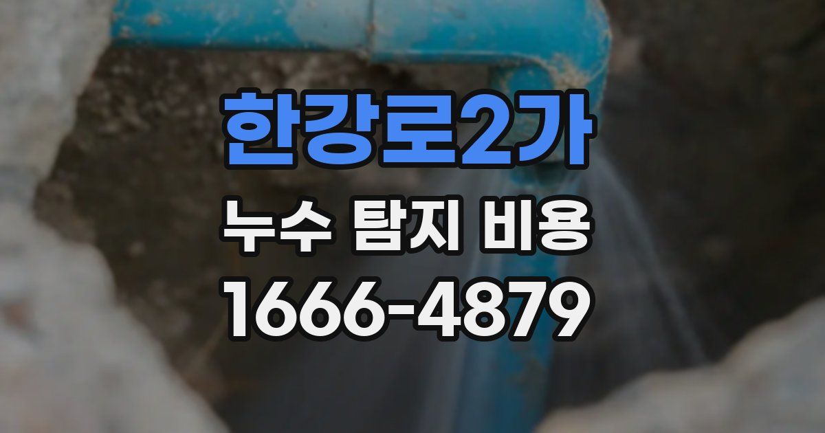 한강로2가 누수 탐지 비용