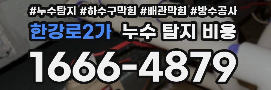 한강로2가 누수 탐지 비용