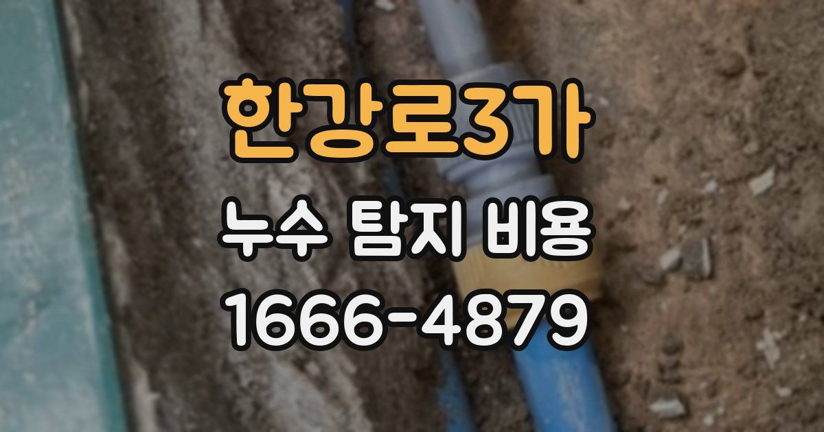 한강로3가 누수 탐지 비용