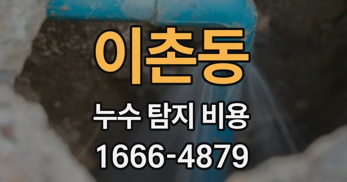이촌동 누수 탐지 비용