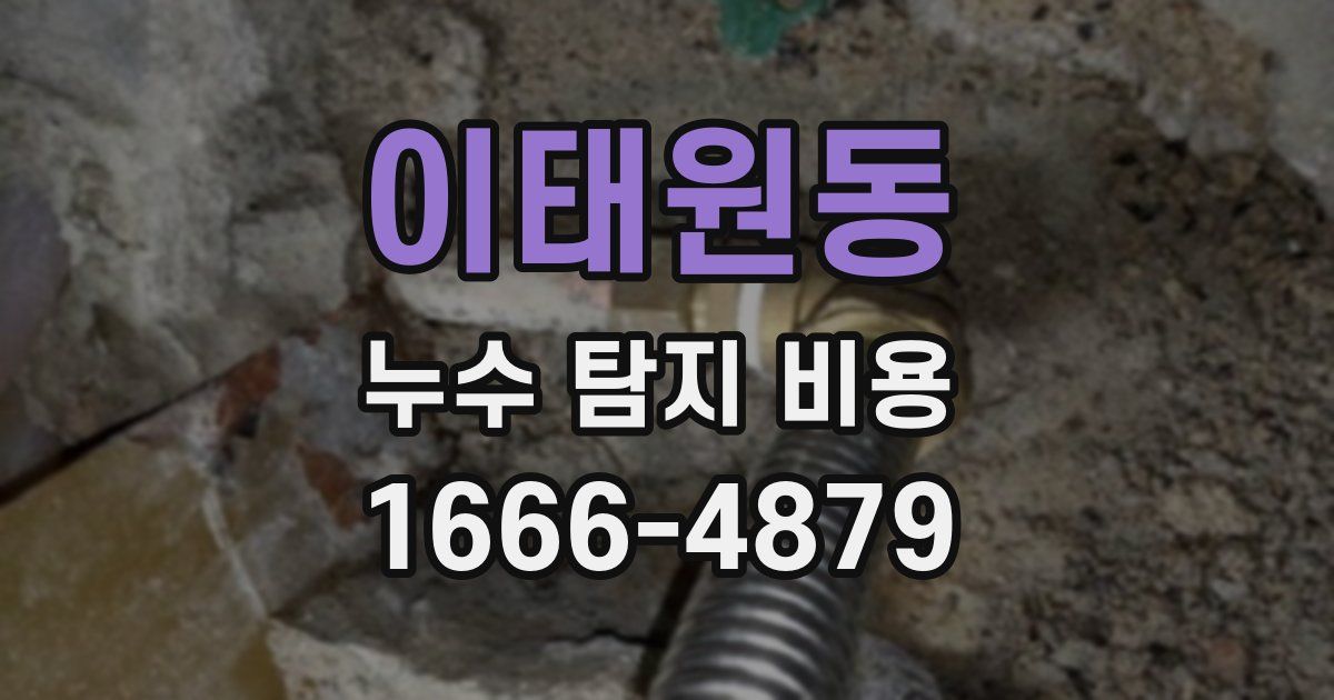 이태원동 누수 탐지 비용