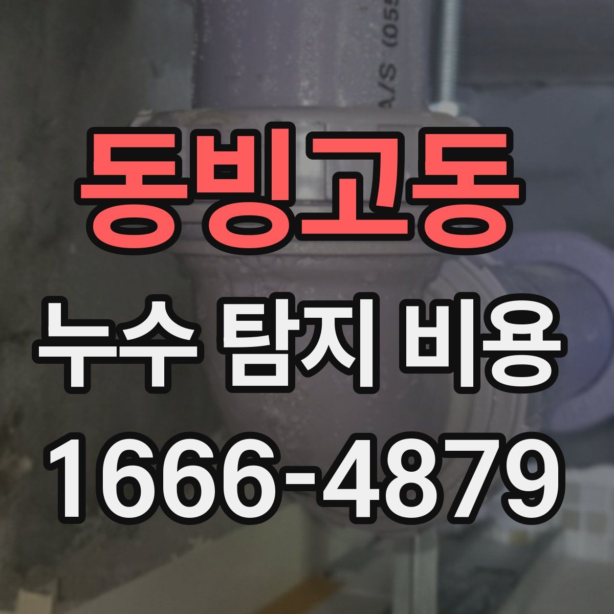 동빙고동 누수 탐지 비용