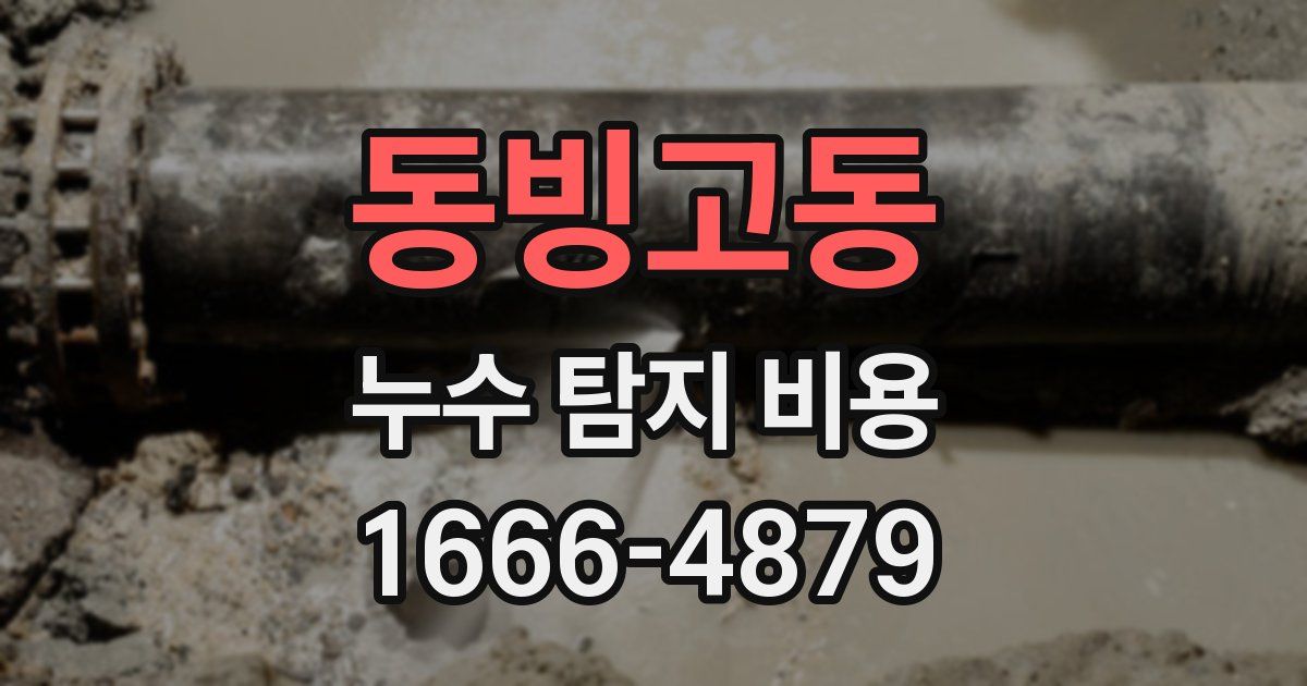 동빙고동 누수 탐지 비용
