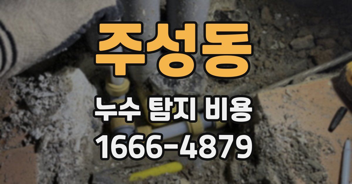 주성동 누수 탐지 비용