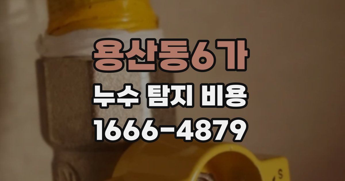 용산동6가 누수 탐지 비용