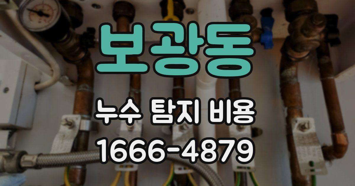 보광동 누수 탐지 비용