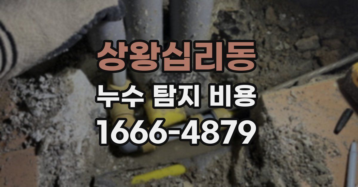 상왕십리동 누수 탐지 비용