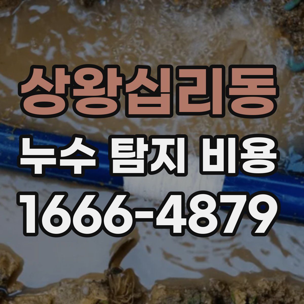 상왕십리동 누수 탐지 비용