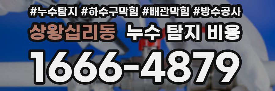 상왕십리동 누수 탐지 비용