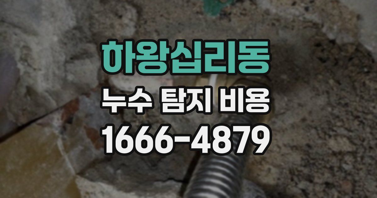 하왕십리동 누수 탐지 비용