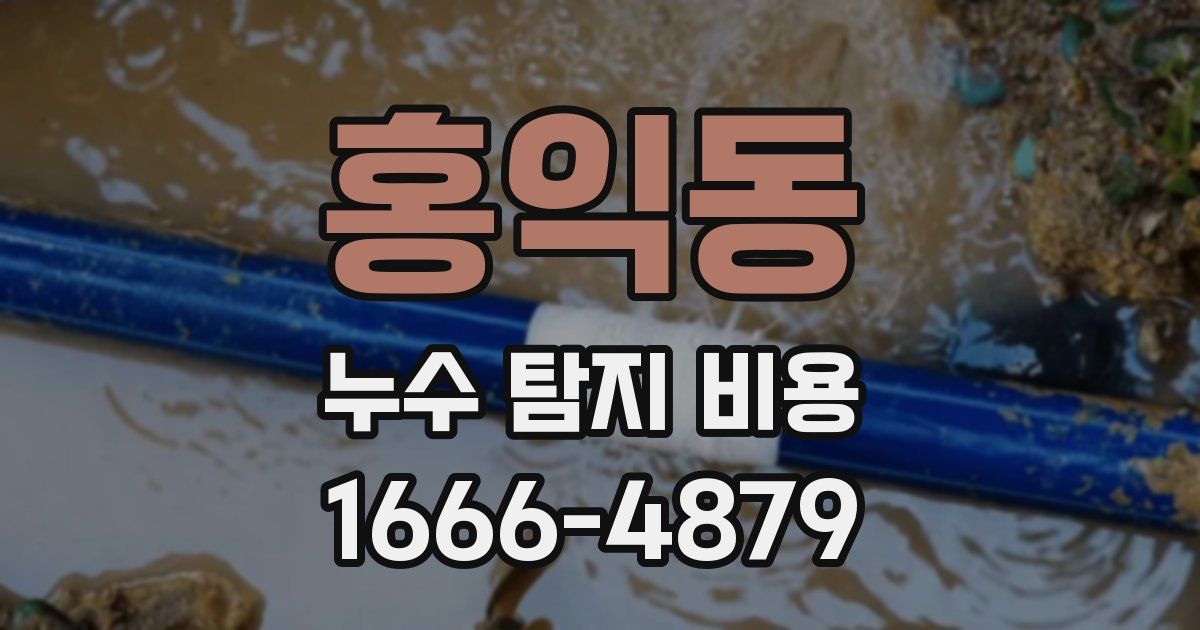 홍익동 누수 탐지 비용