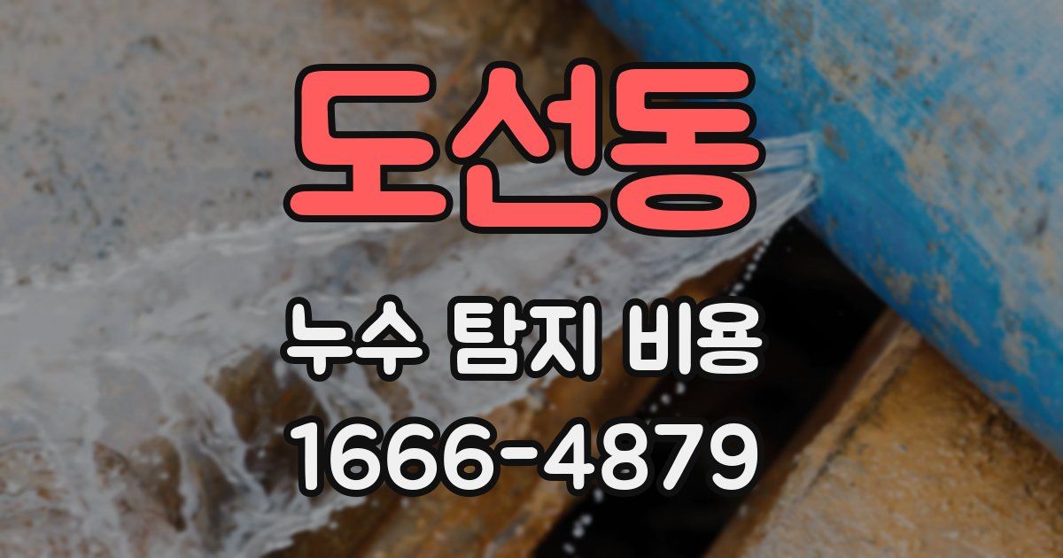 도선동 누수 탐지 비용