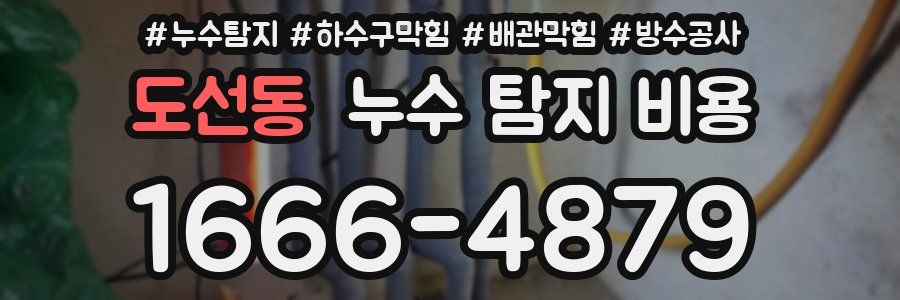 도선동 누수 탐지 비용