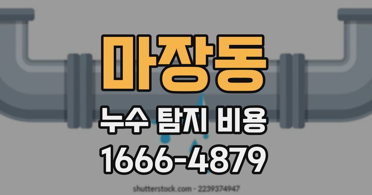 마장동 누수 탐지 비용