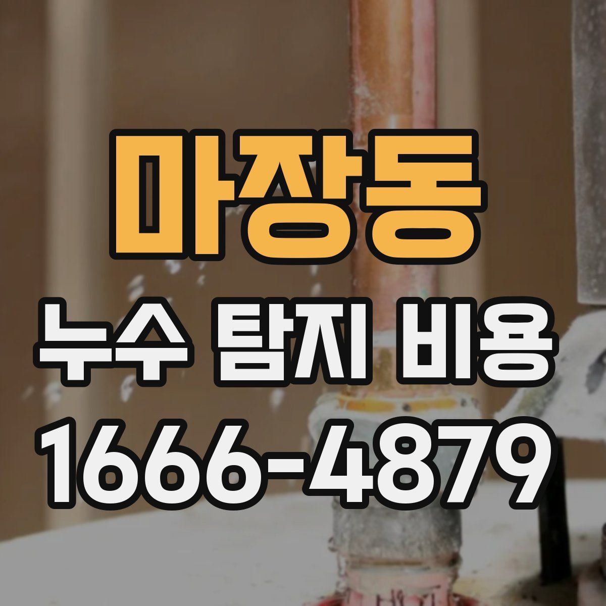 마장동 누수 탐지 비용