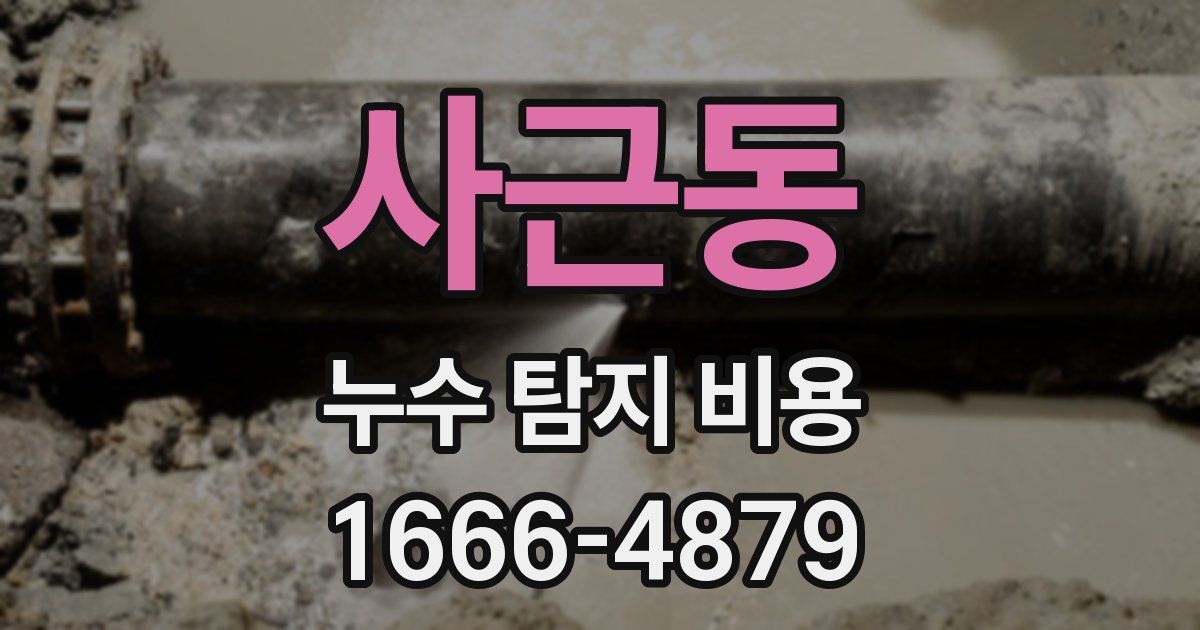 사근동 누수 탐지 비용