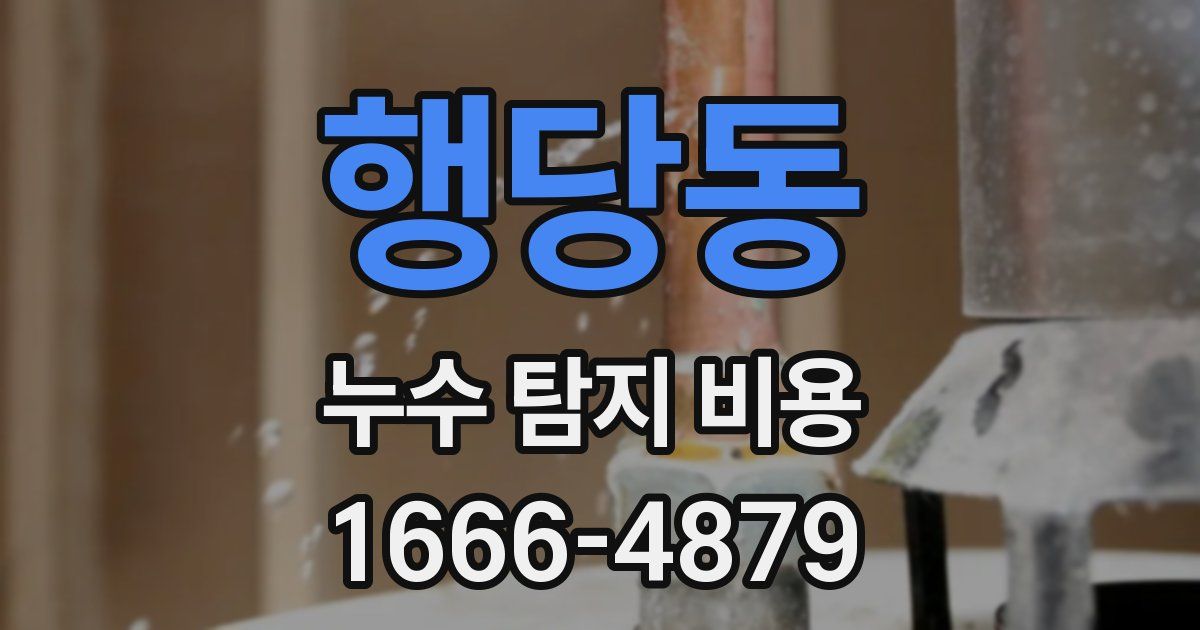 행당동 누수 탐지 비용