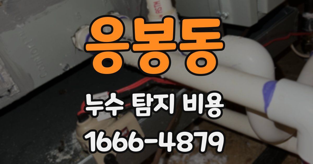 응봉동 누수 탐지 비용
