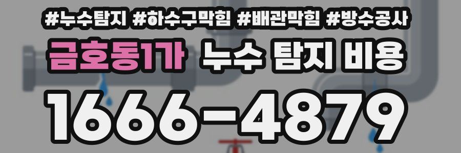 금호동1가 누수 탐지 비용
