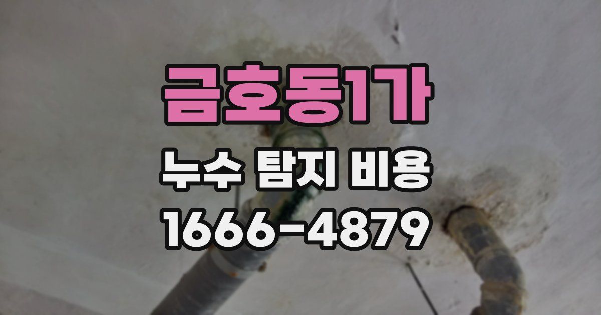 금호동1가 누수 탐지 비용