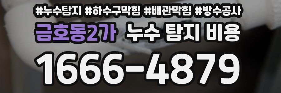 금호동2가 누수 탐지 비용