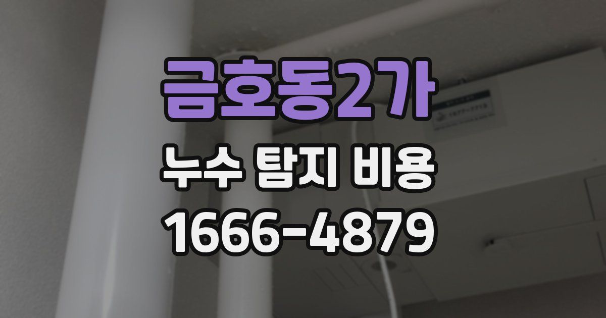 금호동2가 누수 탐지 비용