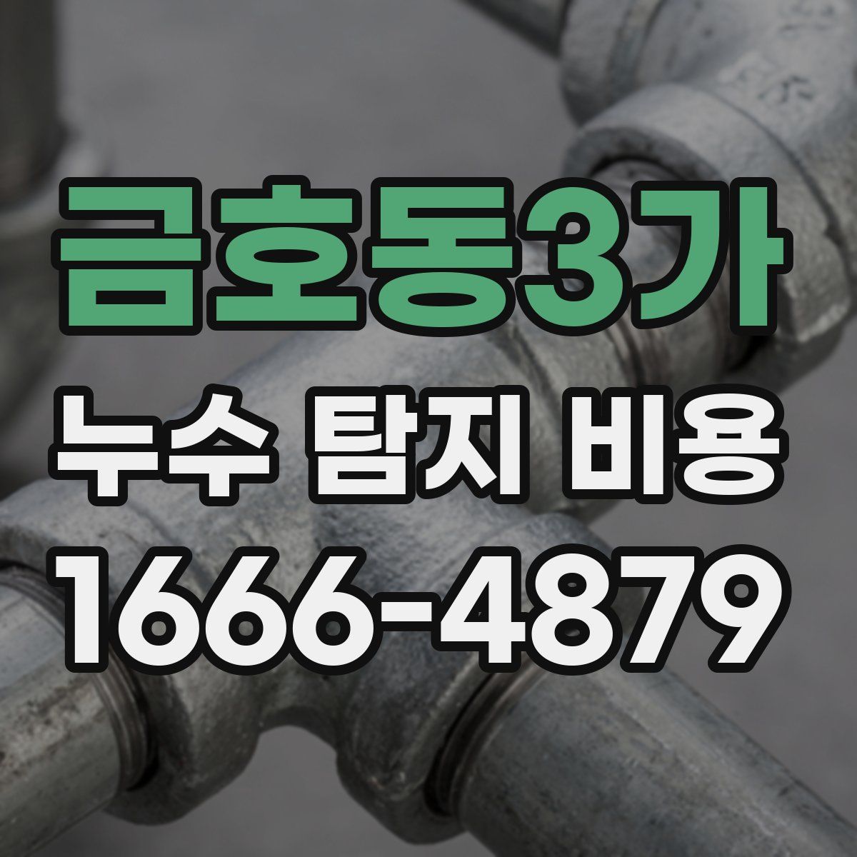 금호동3가 누수 탐지 비용