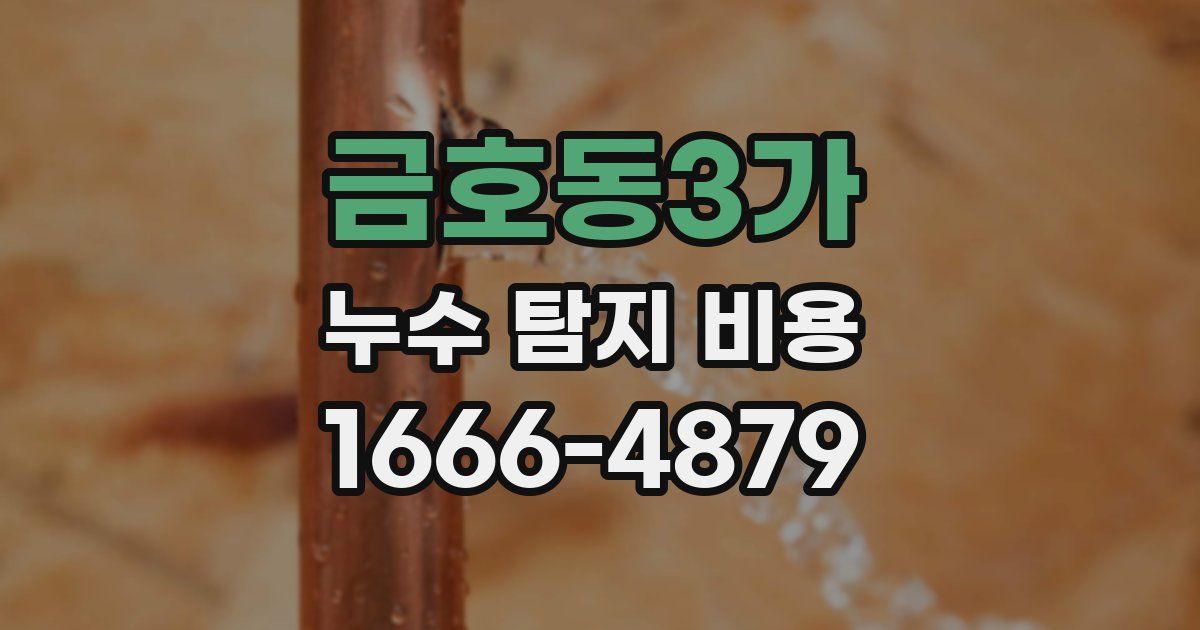 금호동3가 누수 탐지 비용