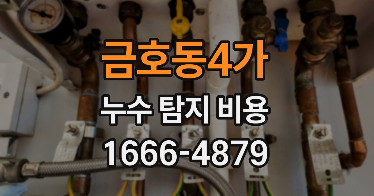 금호동4가 누수 탐지 비용