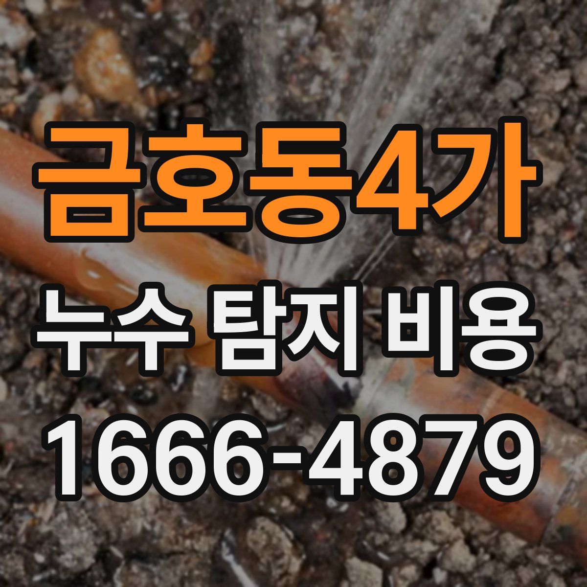 금호동4가 누수 탐지 비용