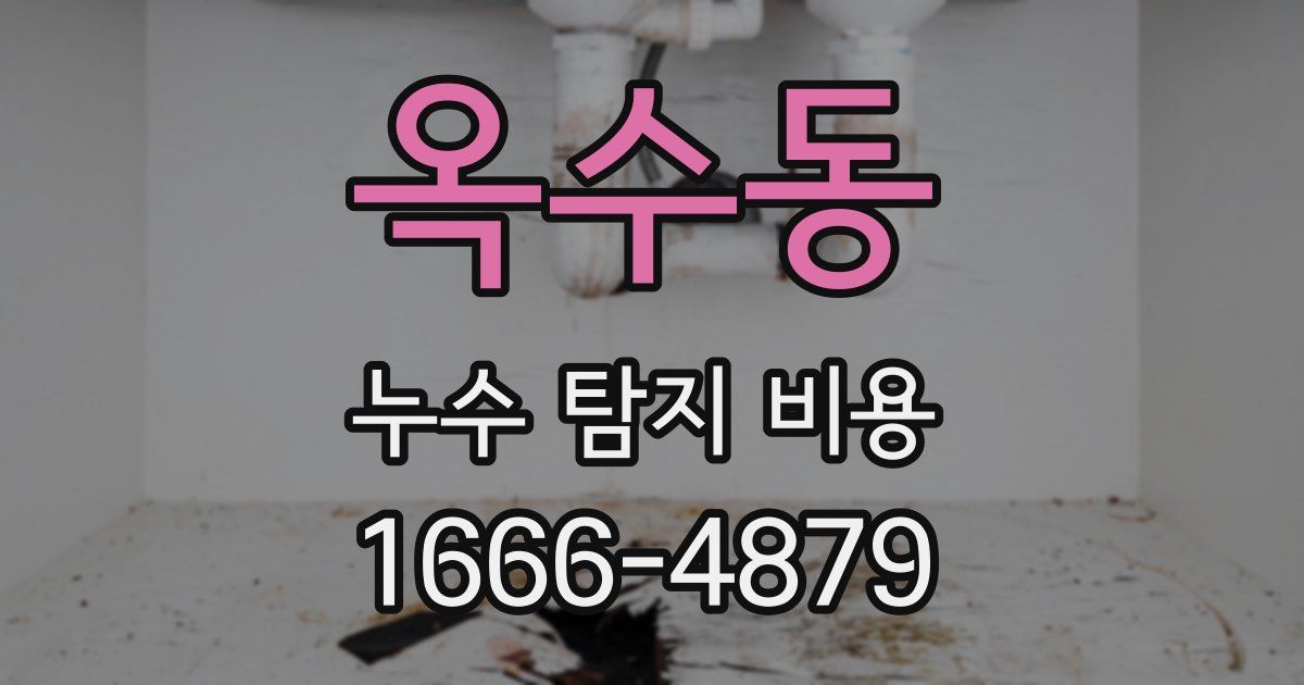 옥수동 누수 탐지 비용