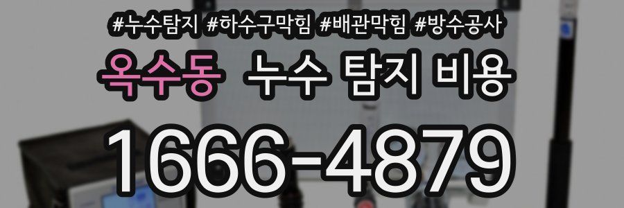 옥수동 누수 탐지 비용