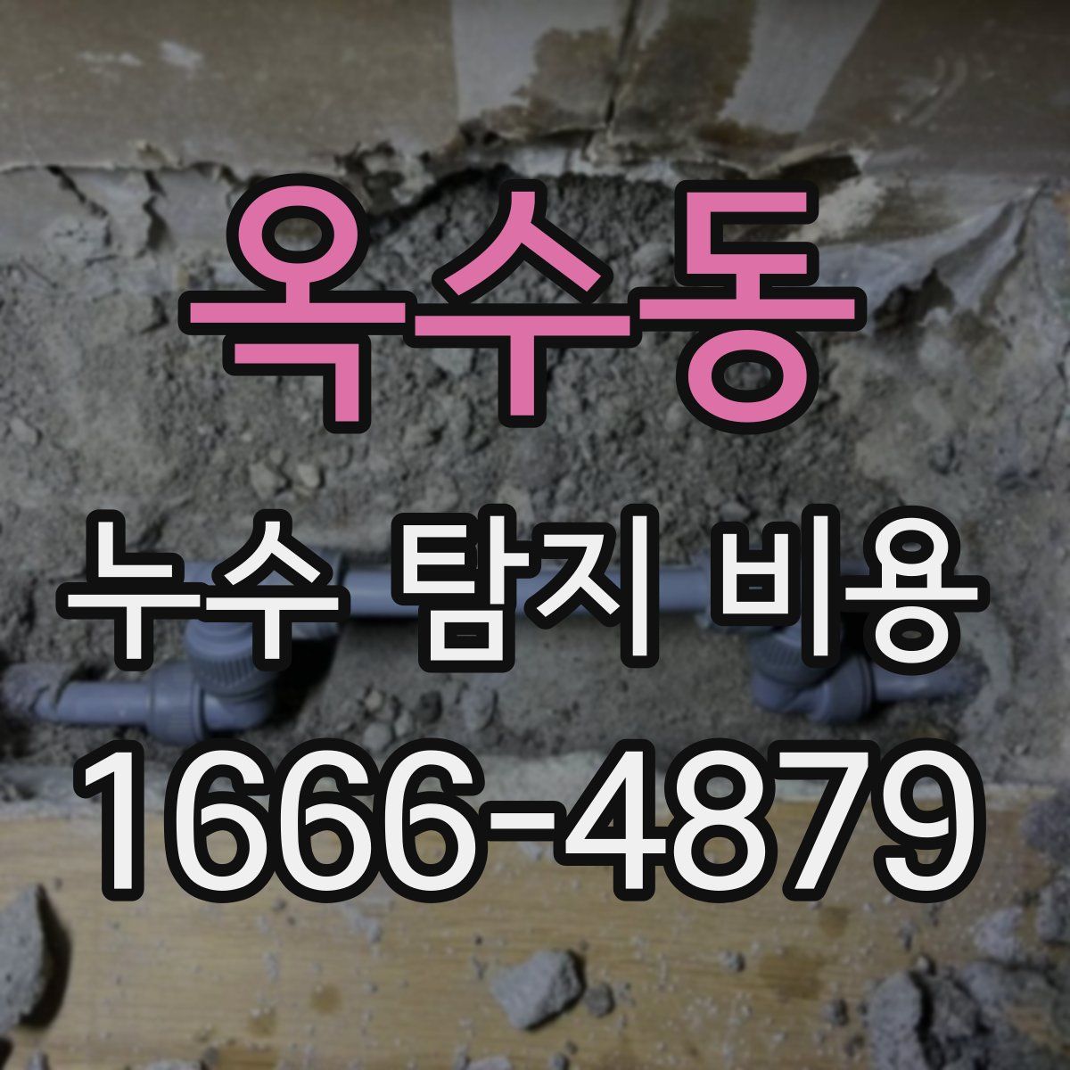 옥수동 누수 탐지 비용